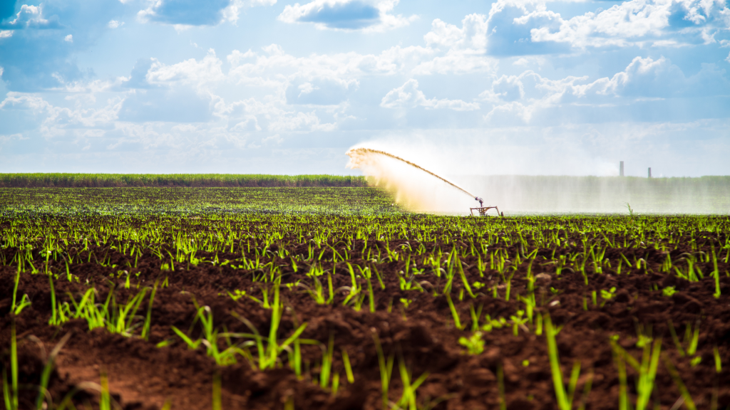 Dutch Clean Tech maatschappelijke impact